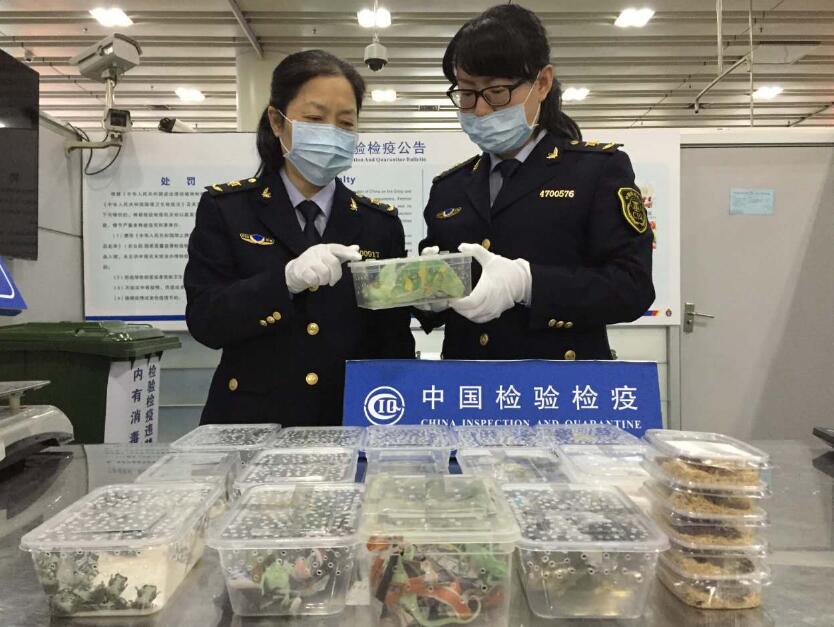 保安机场深圳福田口岸预约车接送